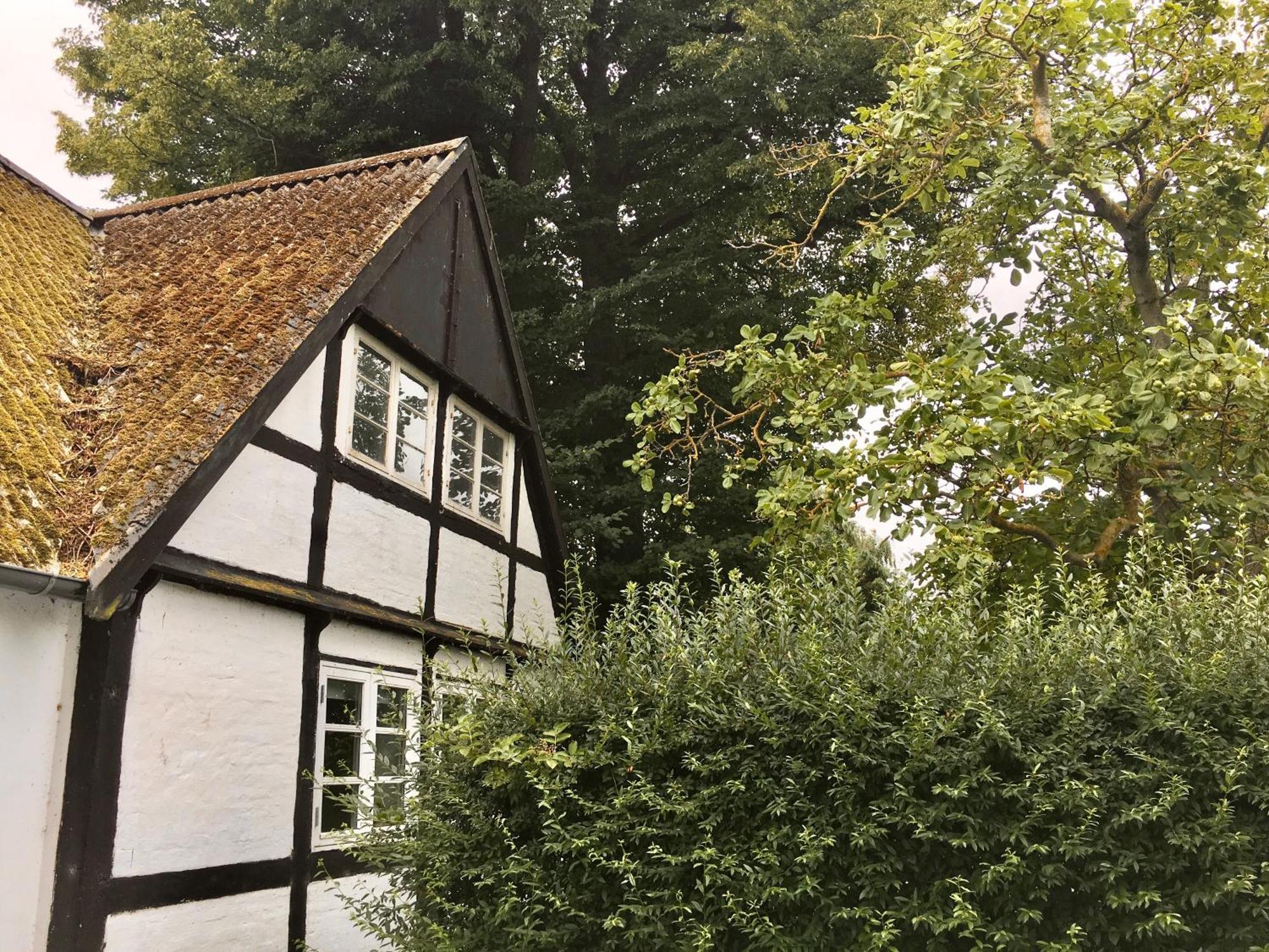 Hotel Hvidegaard Mon Stege Exterior foto